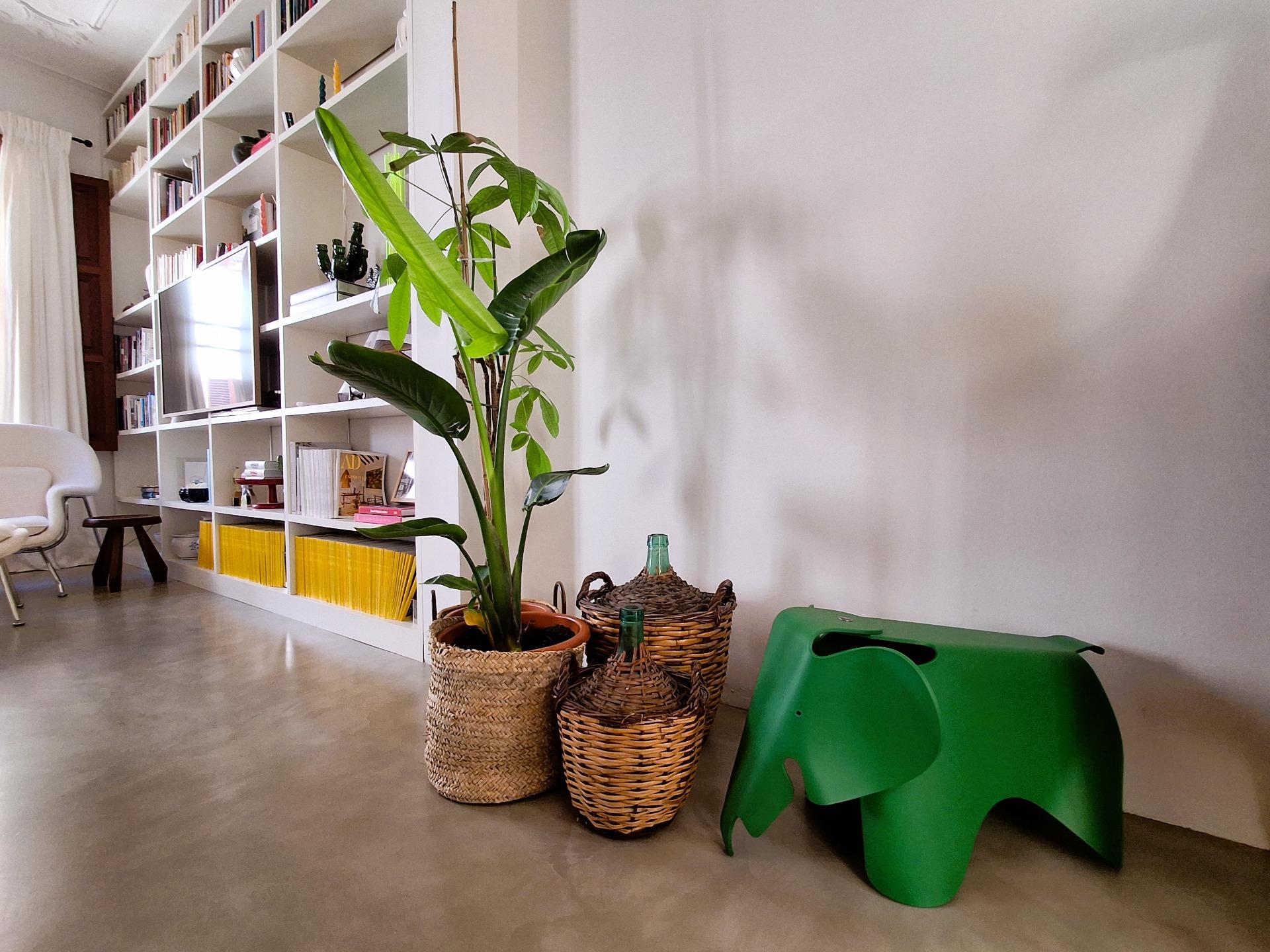 Capdepera, Baleares, 3 Bedrooms Bedrooms, ,3 BathroomsBathrooms,For Sale,C-351/7006 Capdepera, Baleares, 3 Bedrooms Bedrooms, ,3 BathroomsBathrooms,For Sale,C-351/7006