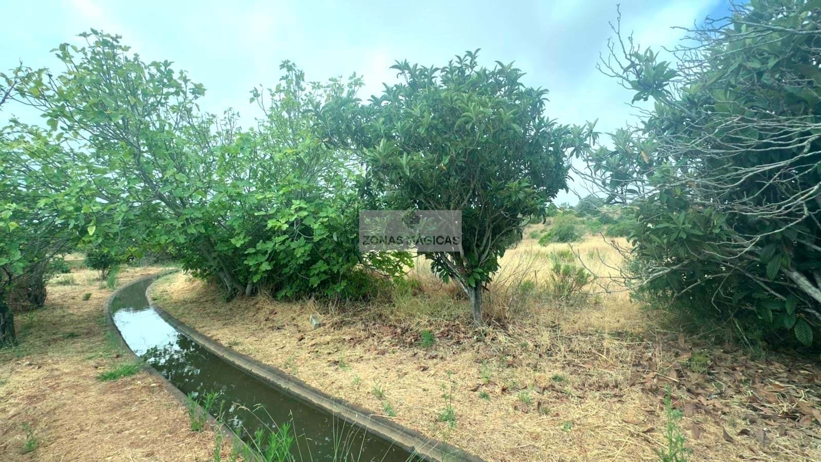 Land, For Sale