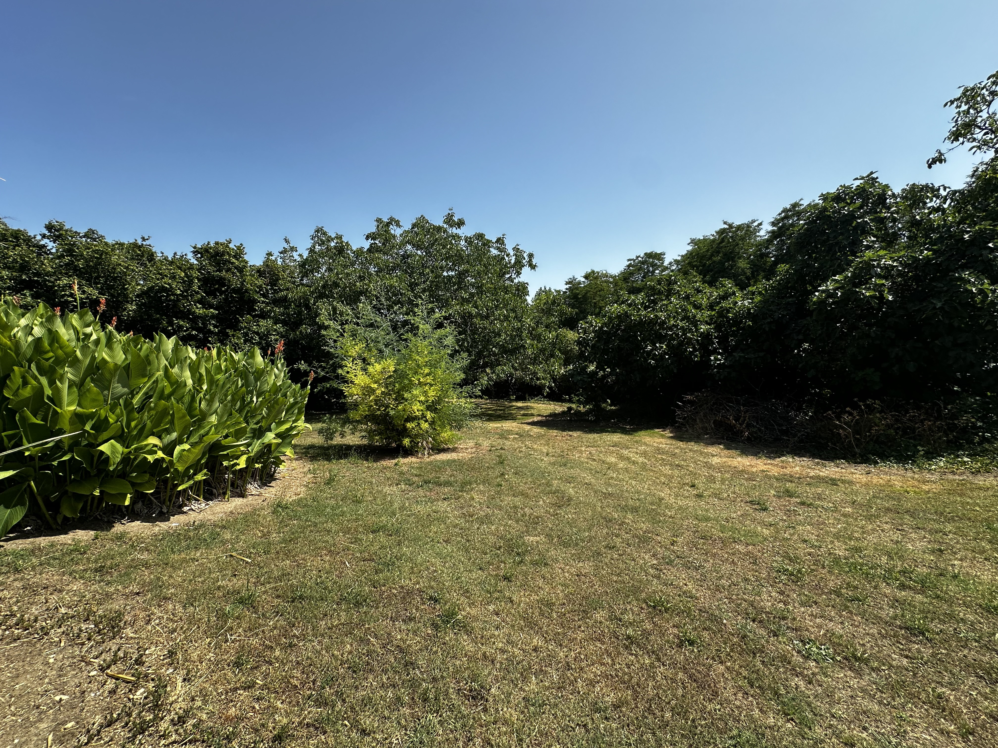 5 Bed, 1 Bath, HouseFor Sale, Loubes bernac, Lot-et-Garonne, Aquitaine, 47120