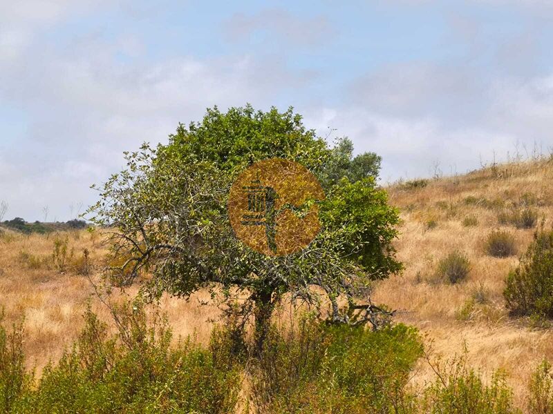 Land, For Sale Land, For Sale