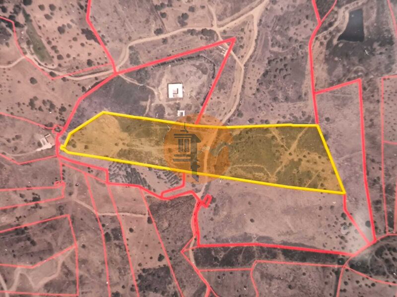 Land, For Sale Land, For Sale