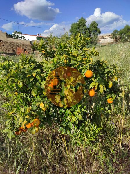 2 Bed, 1 Bath, HouseFor Sale, Castro Marim, Faro 2 Bed, 1 Bath, HouseFor Sale, Castro Marim, Faro