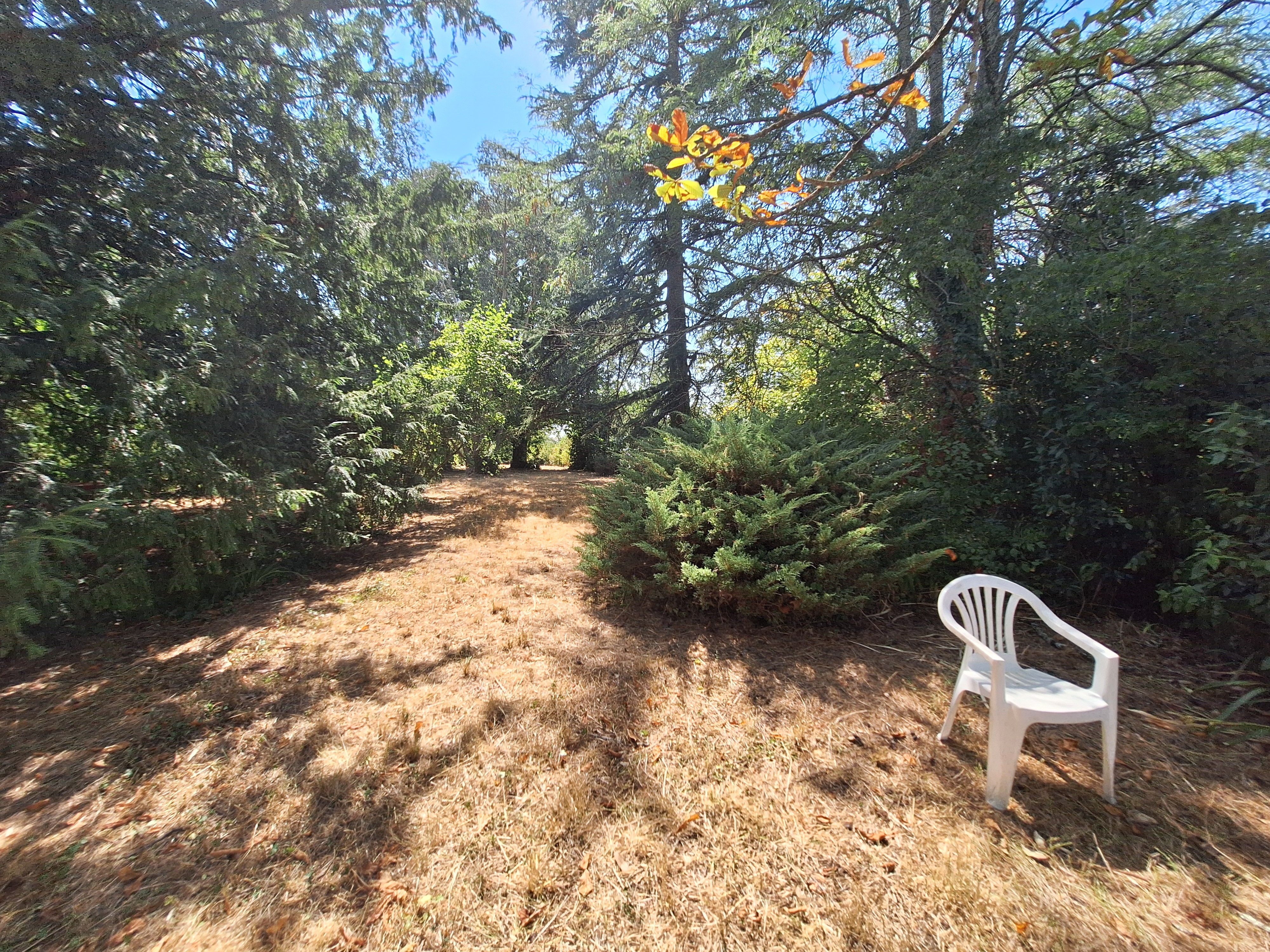 3 Bed, 1 Bath, HouseFor Sale, Castillonnes, Lot-et-Garonne, Aquitaine, 47330