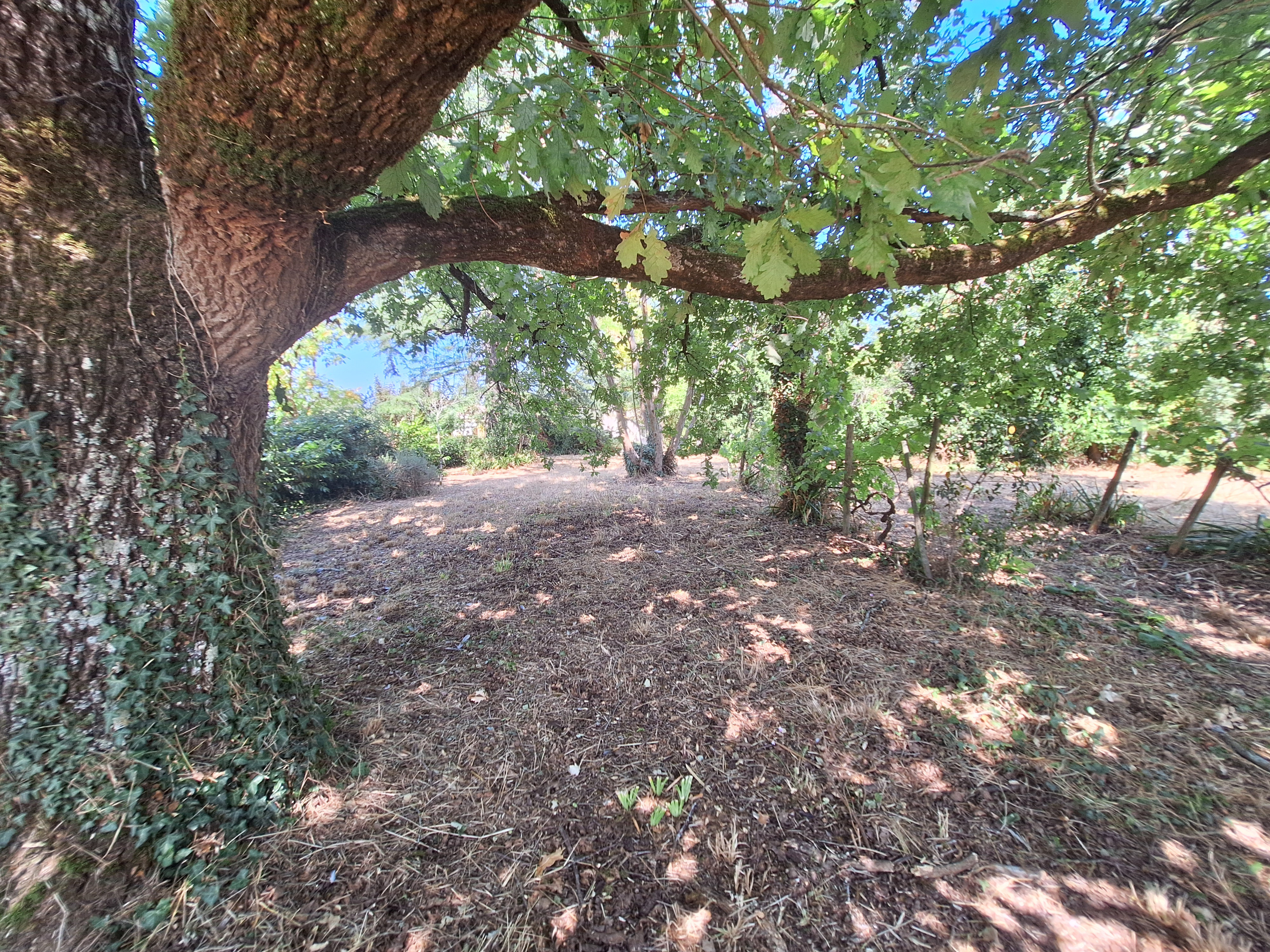 3 Bed, 1 Bath, HouseFor Sale, Castillonnes, Lot-et-Garonne, Aquitaine, 47330