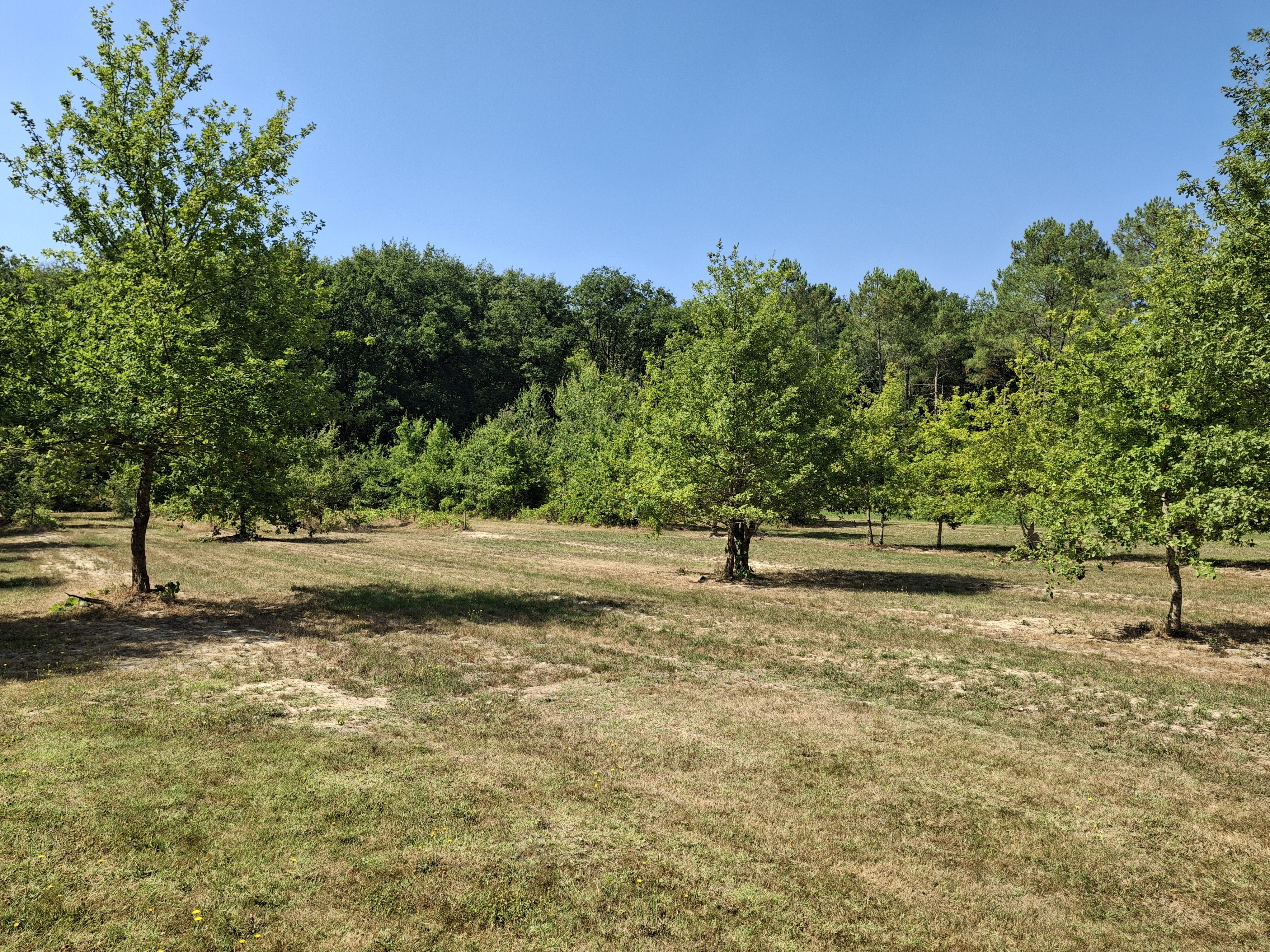 3 Bed, 1 Bath, HouseFor Sale, Villereal, Lot-et-Garonne, Aquitaine, 47210