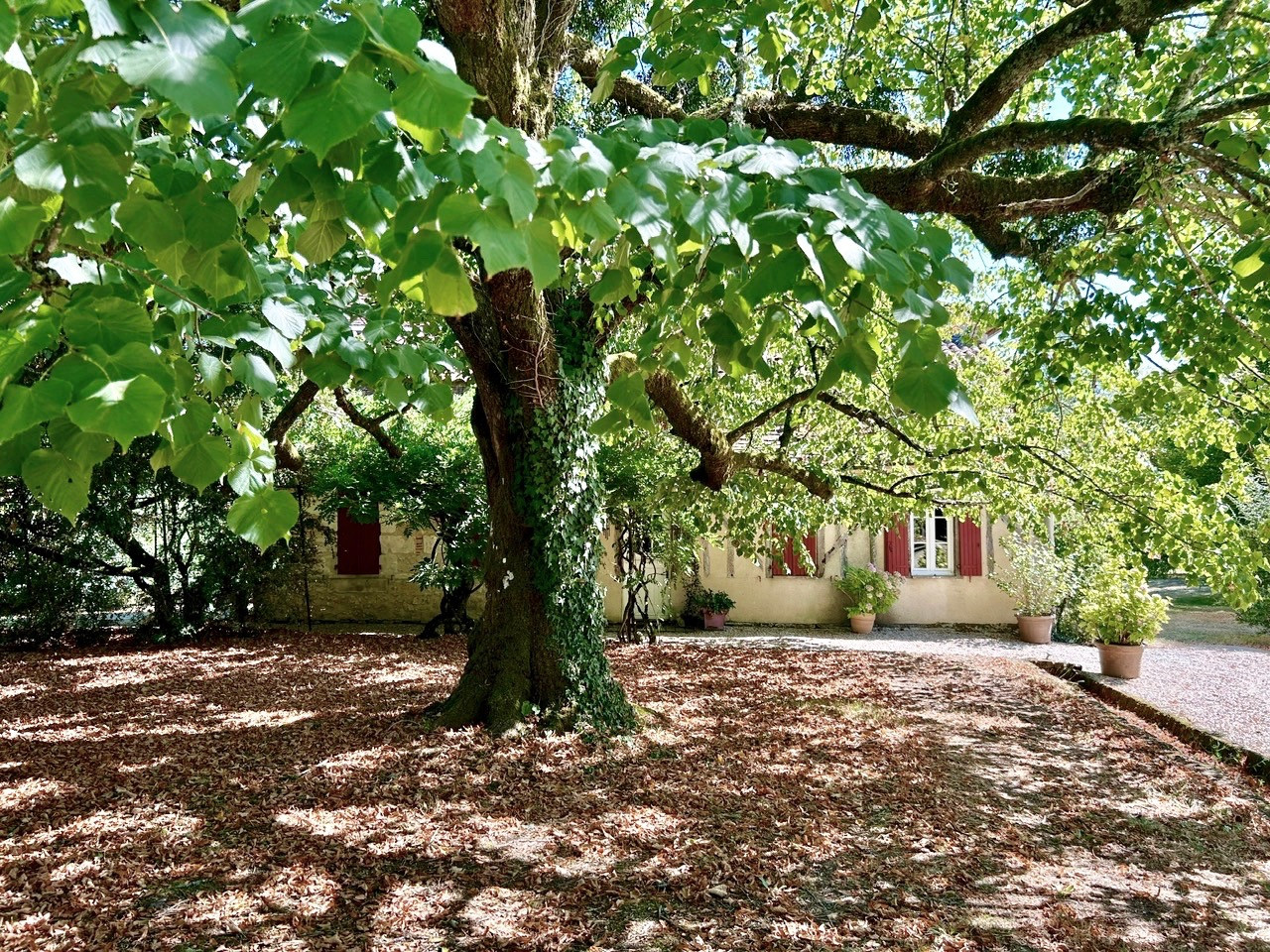 7 Bed, 3 Bath, HouseFor Sale, Prigonrieux, Dordogne, Aquitaine, 24130