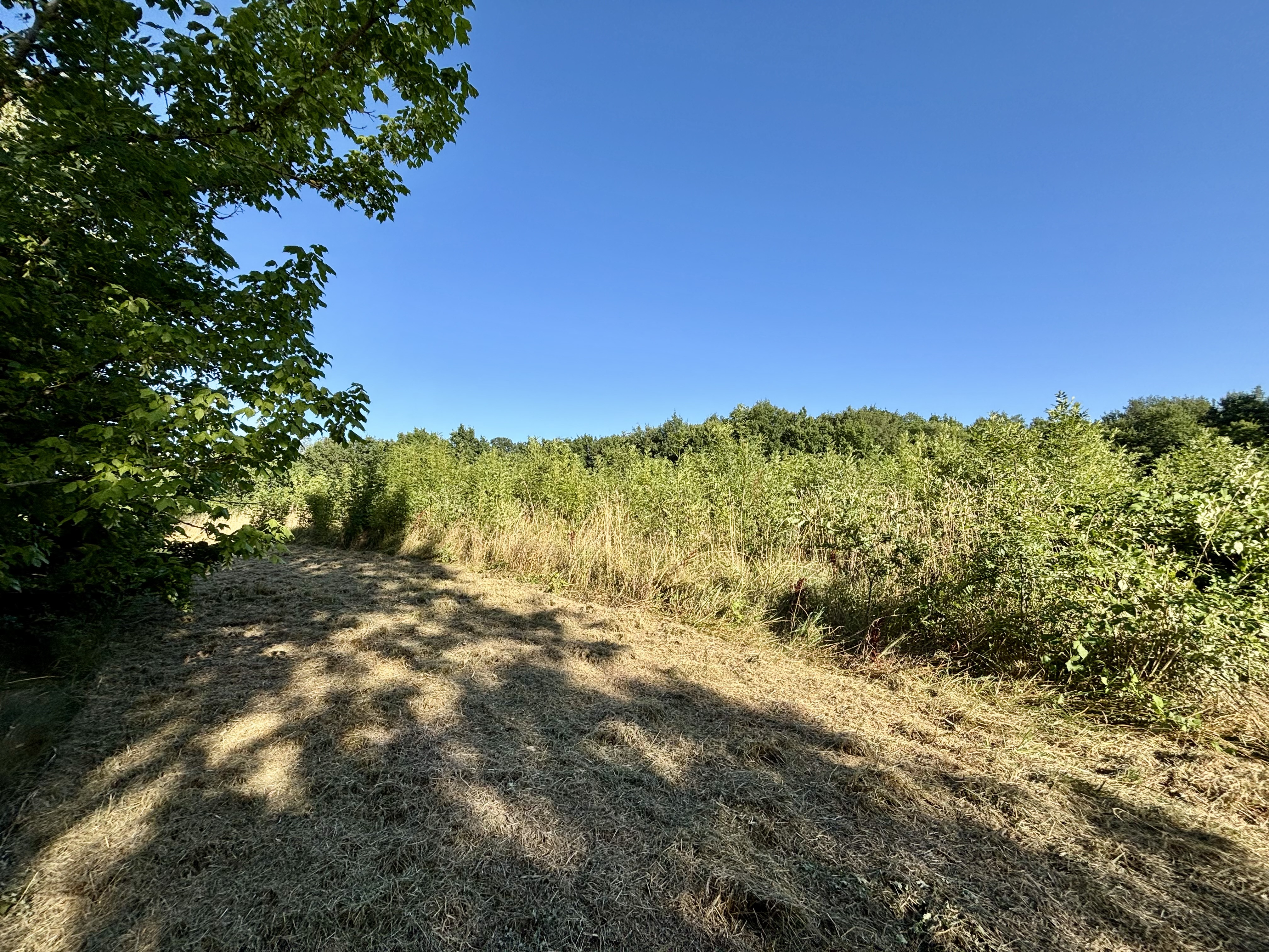 3 Bed, HouseFor Sale, Villeneuve sur lot, Lot-et-Garonne, Aquitaine, 47300