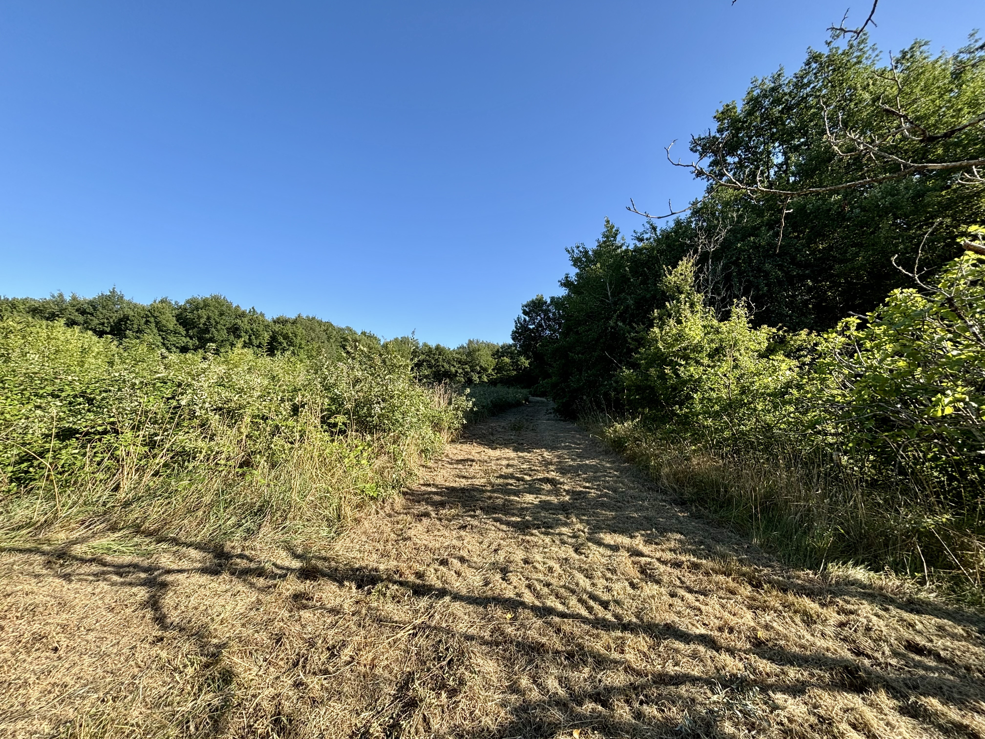 3 Bed, HouseFor Sale, Villeneuve sur lot, Lot-et-Garonne, Aquitaine, 47300