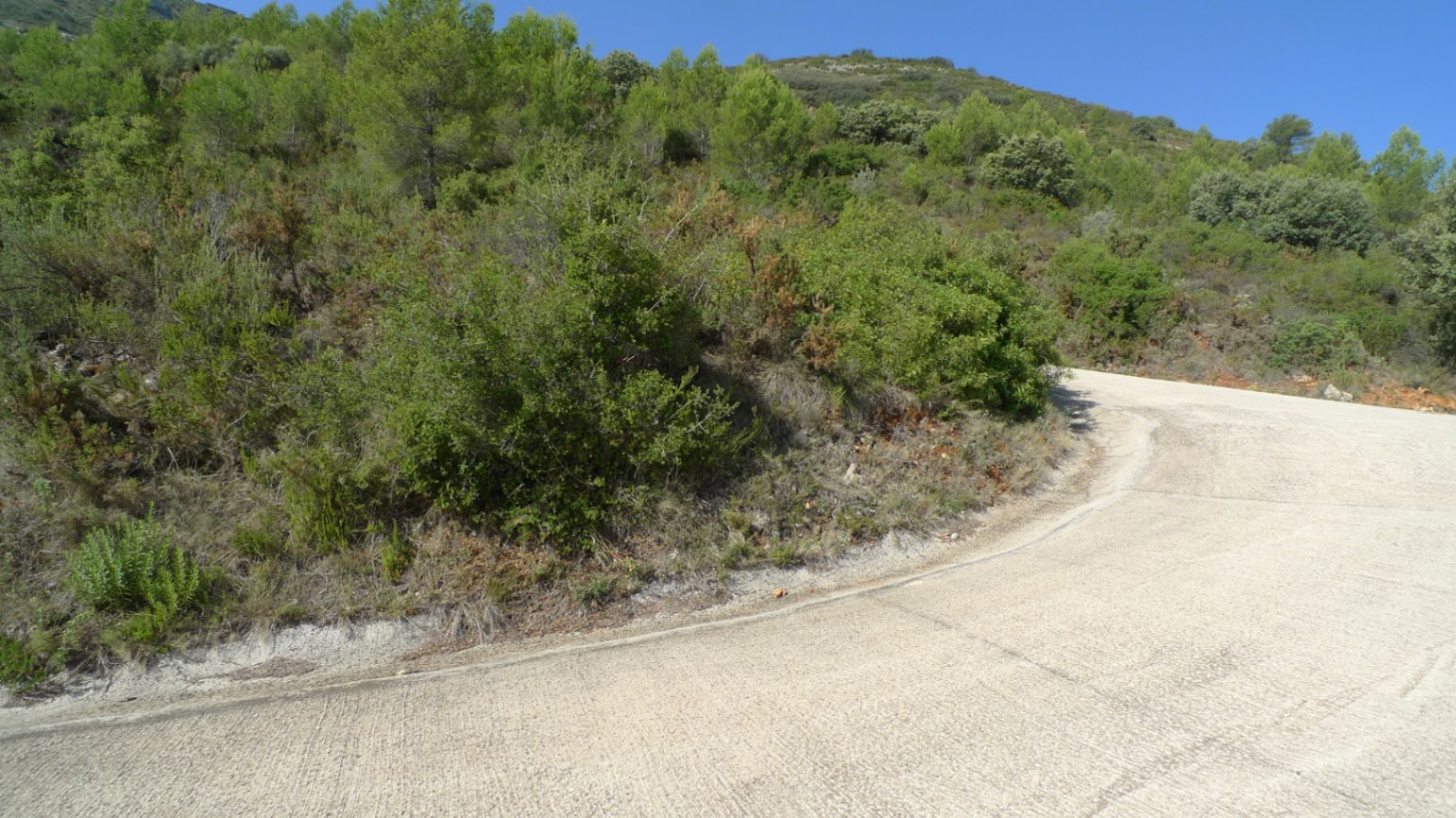 Land, For Sale Land, For Sale