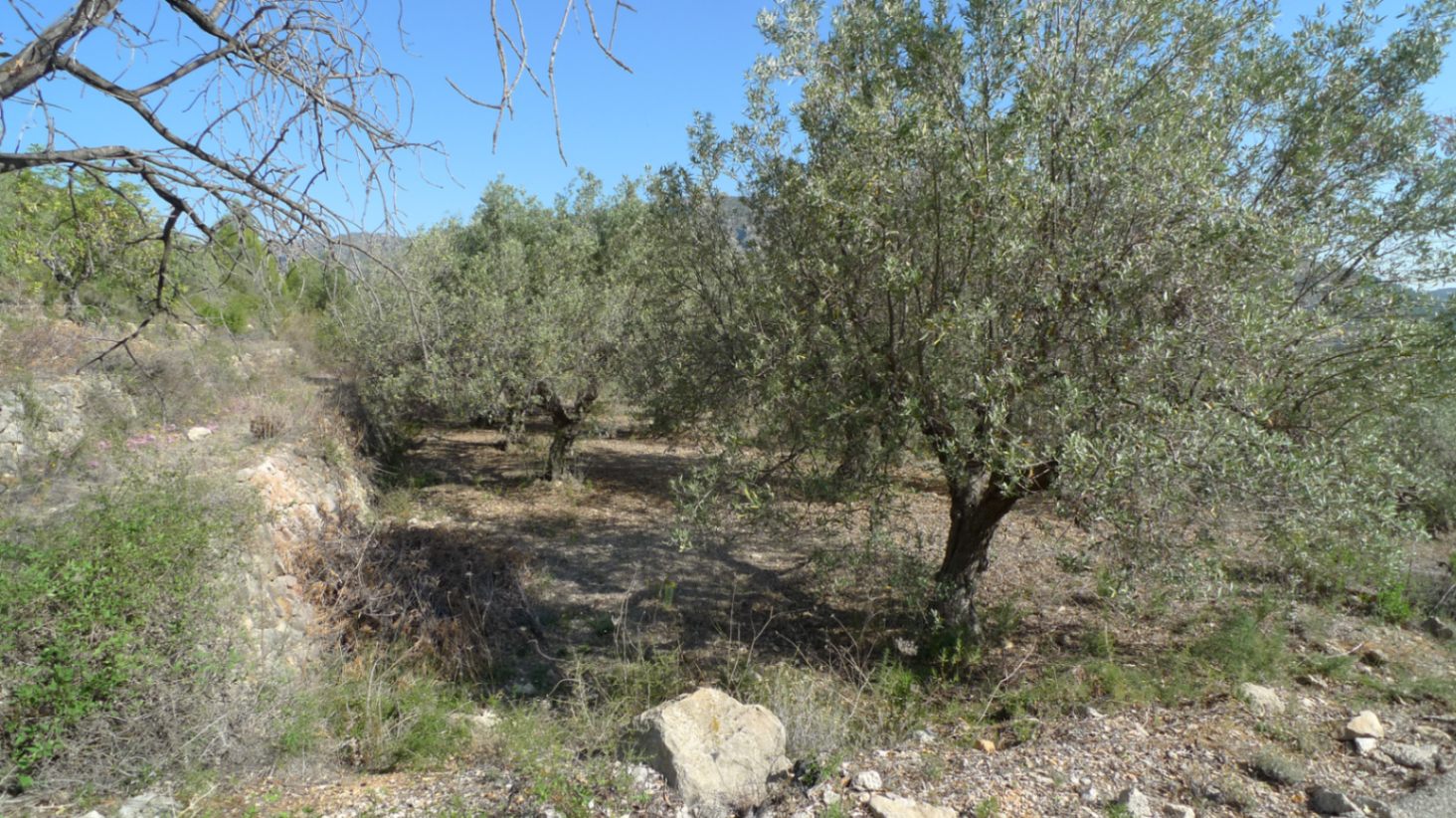 Land, For Sale Land, For Sale