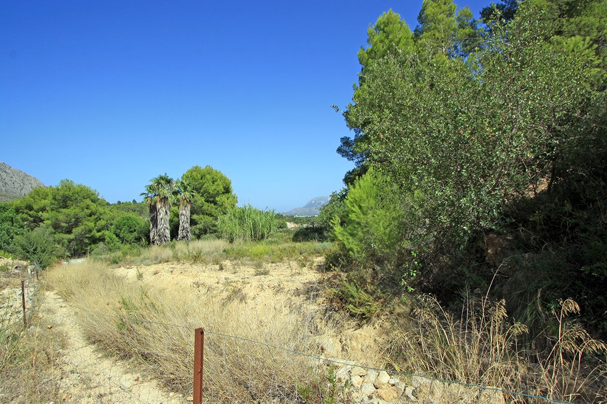 Land, For Sale Land, For Sale