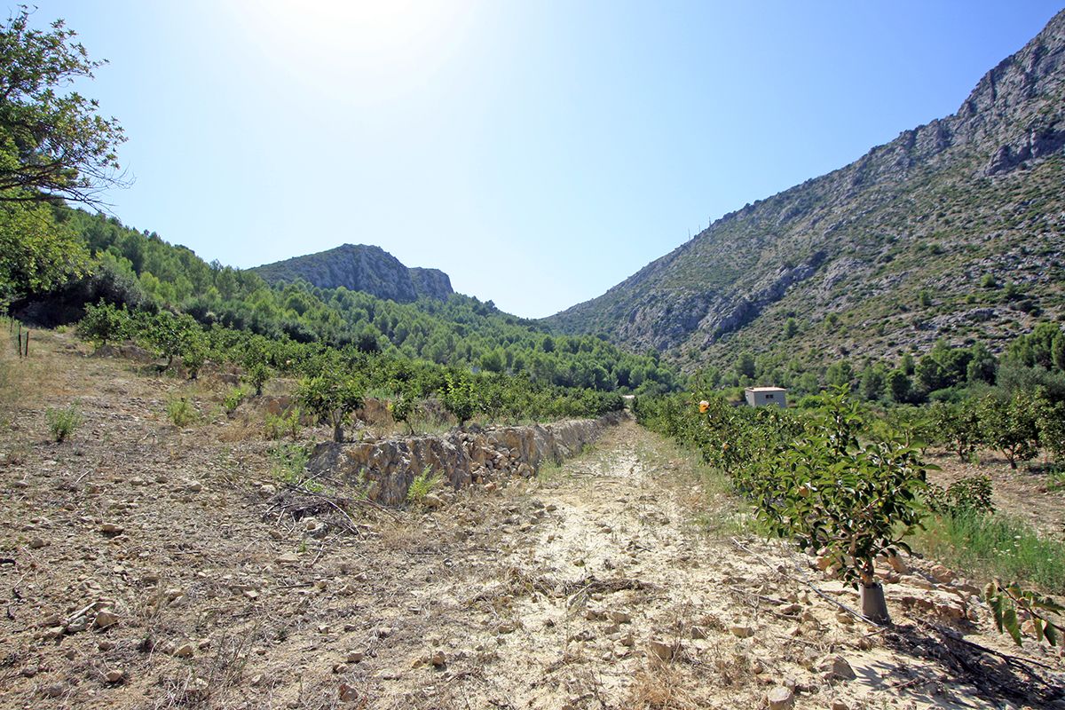 Land, For Sale Land, For Sale