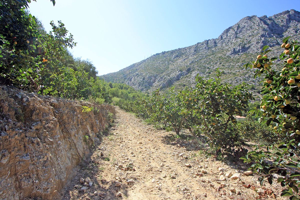 Land, For Sale Land, For Sale