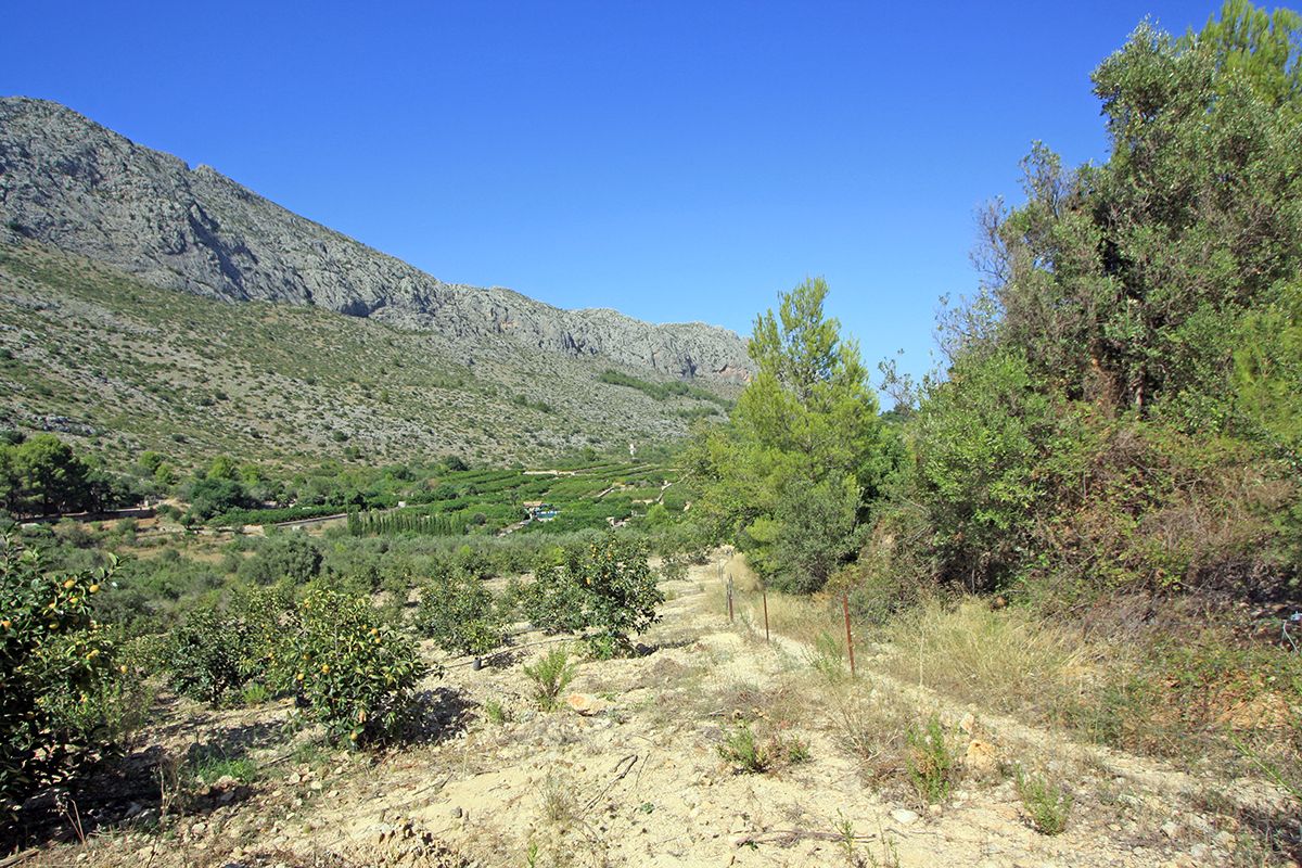 Land, For Sale Land, For Sale