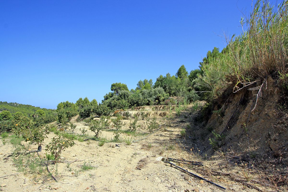 Land, For Sale Land, For Sale