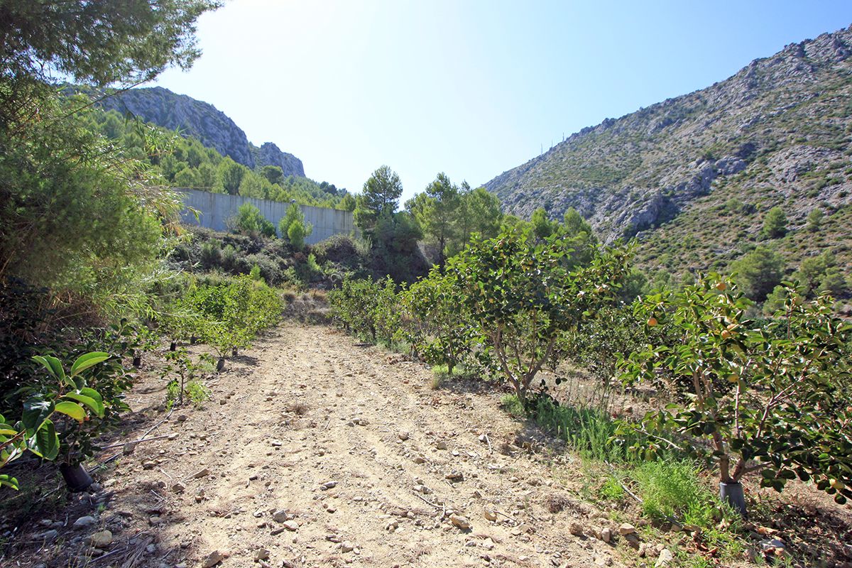 Land, For Sale Land, For Sale