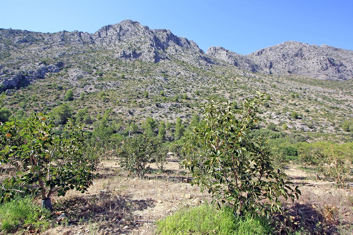 Land, For Sale Land, For Sale