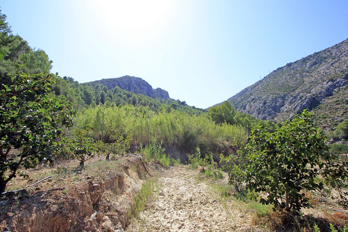 Land, For Sale Land, For Sale