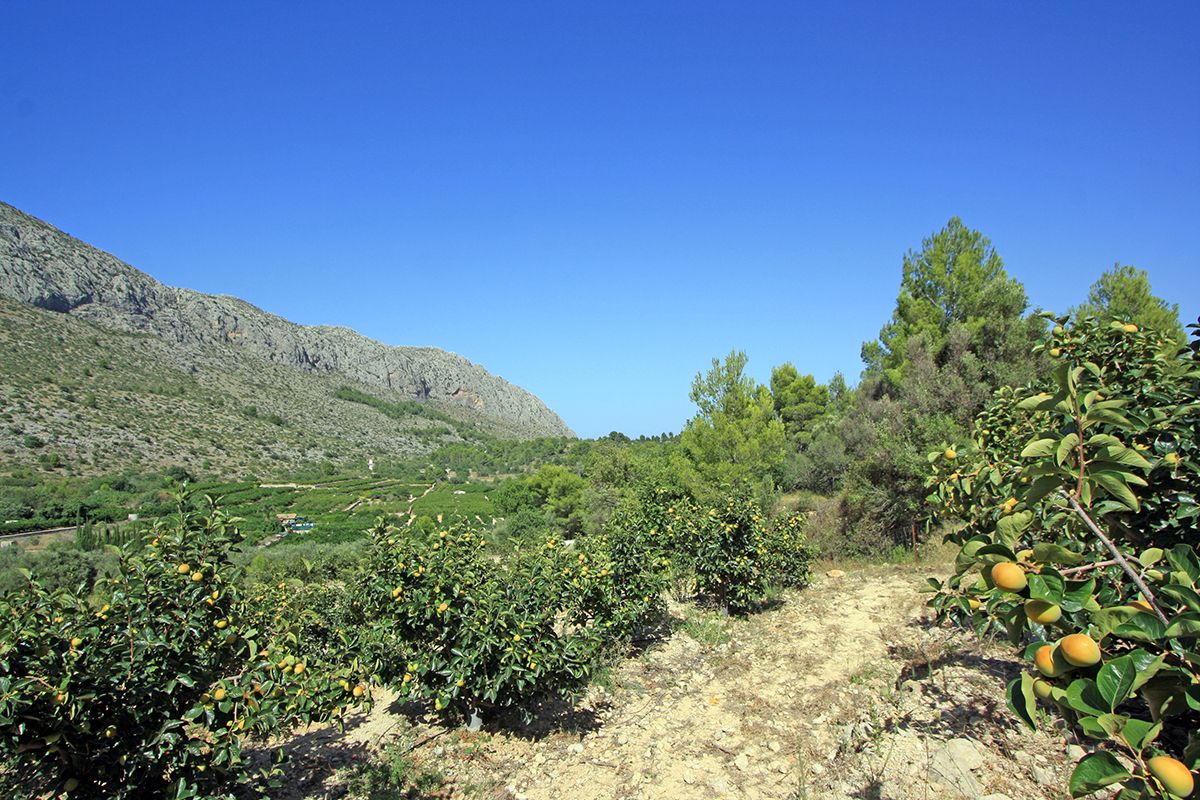 Land, For Sale Land, For Sale