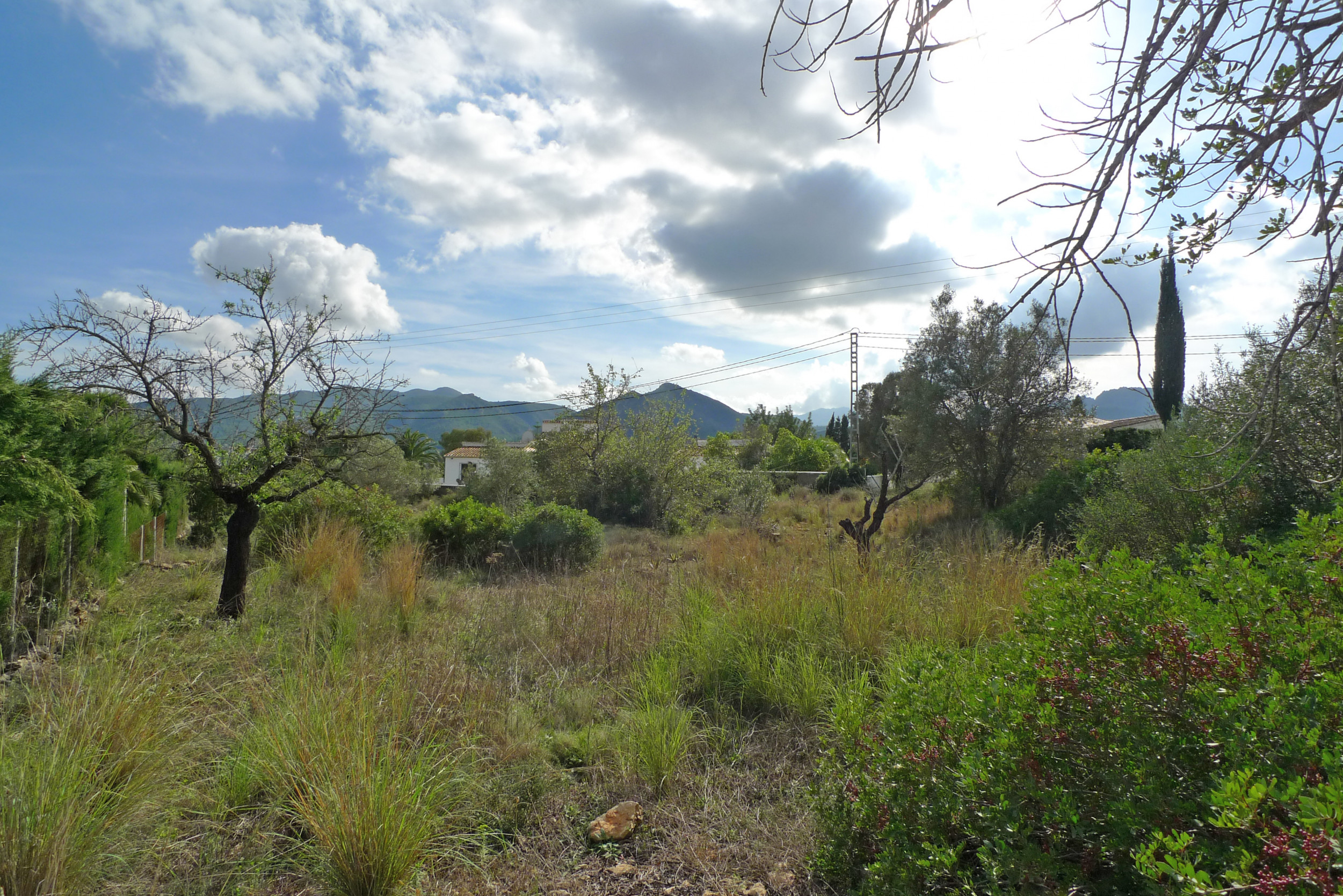 Land, For Sale Land, For Sale