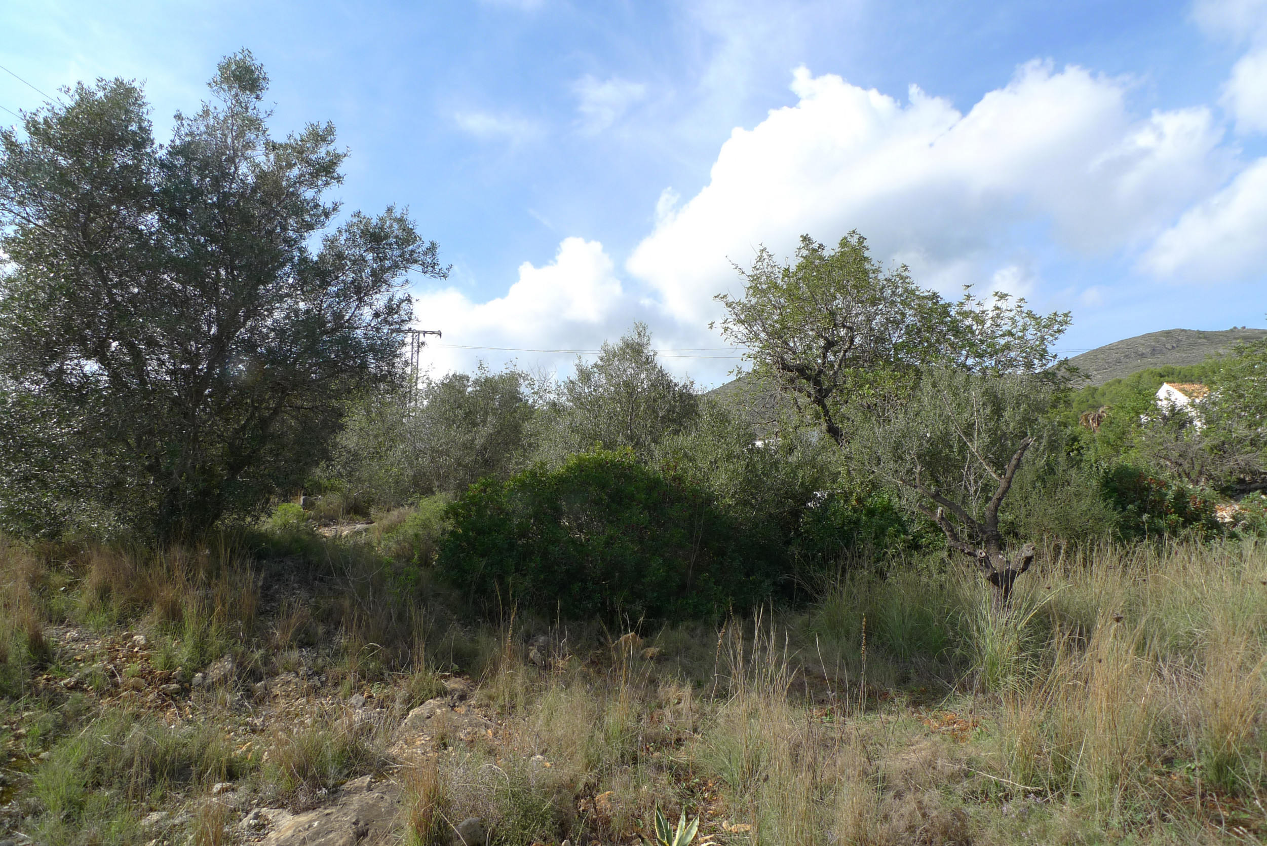 Land, For Sale Land, For Sale