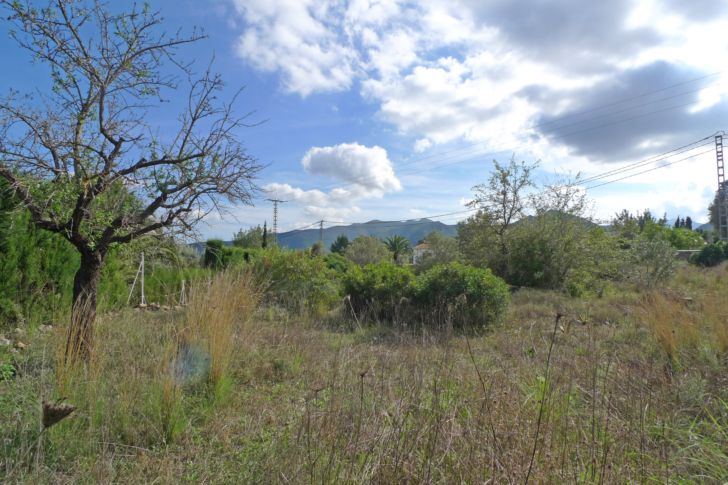 Land, For Sale Land, For Sale