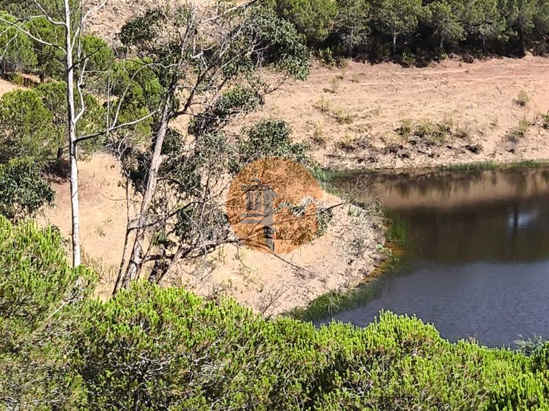 Land, For Sale Land, For Sale