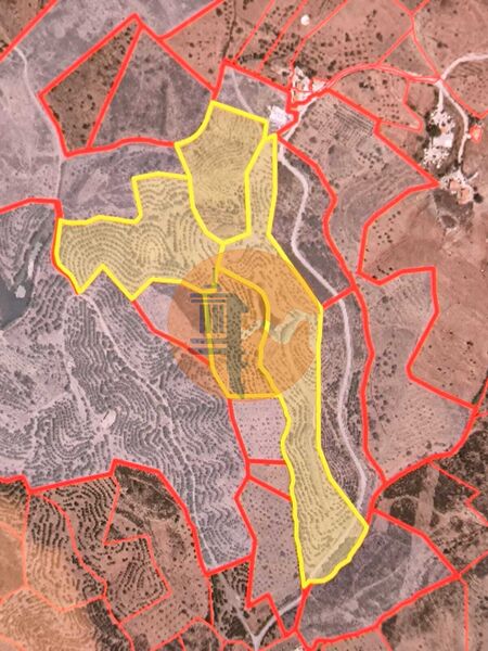 Land, For Sale Land, For Sale