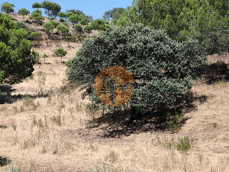 Land, For Sale Land, For Sale