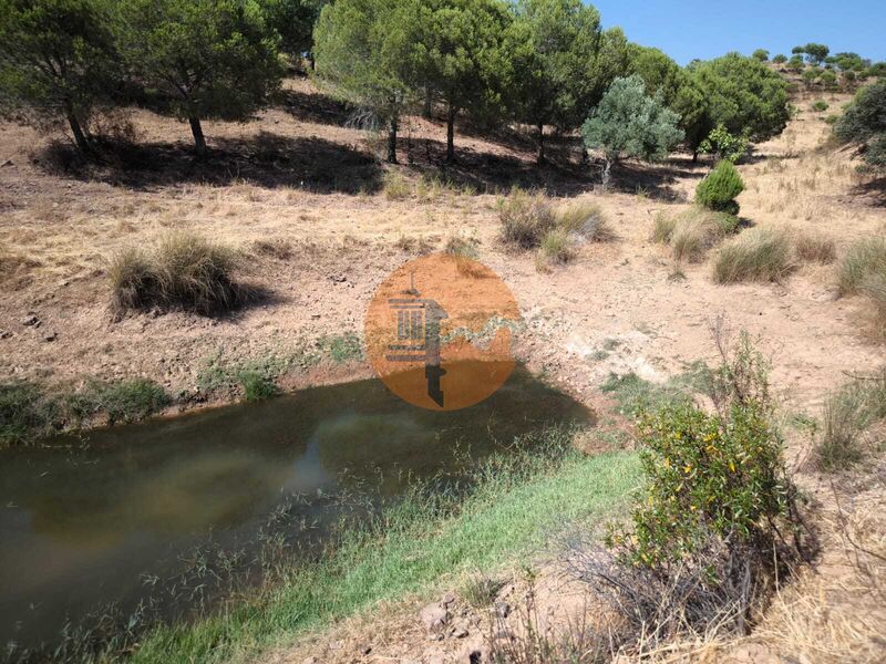 Land, For Sale Land, For Sale