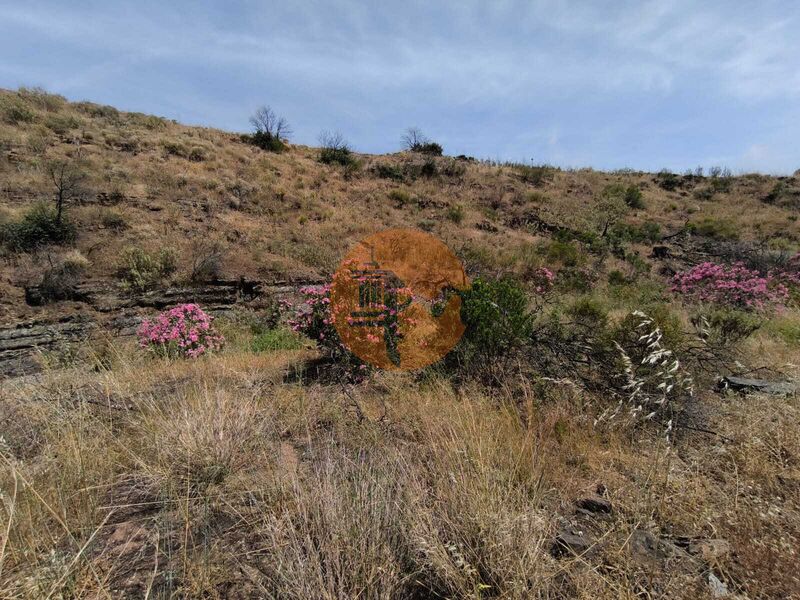 Land, For Sale Land, For Sale