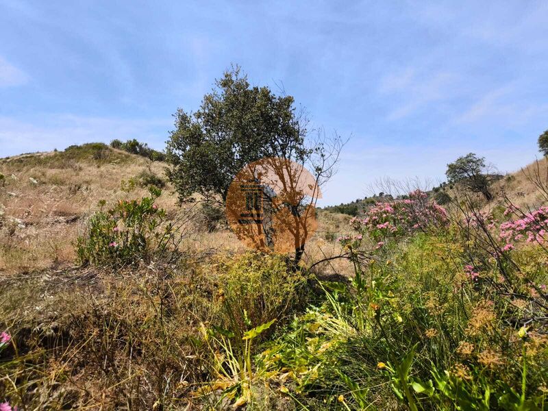 Land, For Sale Land, For Sale