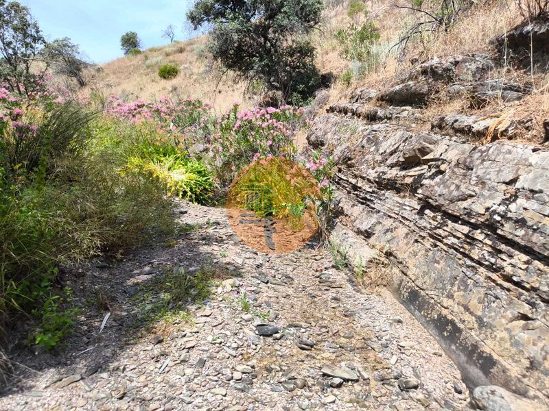 Land, For Sale Land, For Sale