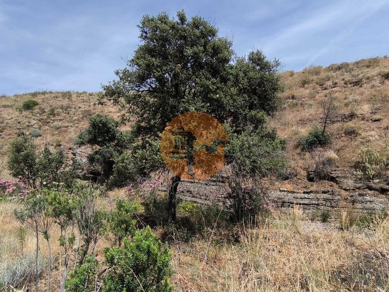 Land, For Sale Land, For Sale