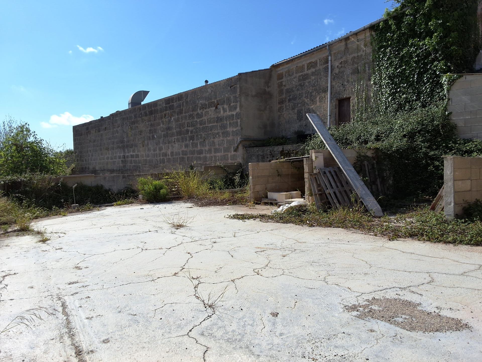 Arta, Baleares, ,1 BathroomBathrooms,For Sale,L-50/7006 Arta, Baleares, ,1 BathroomBathrooms,For Sale,L-50/7006