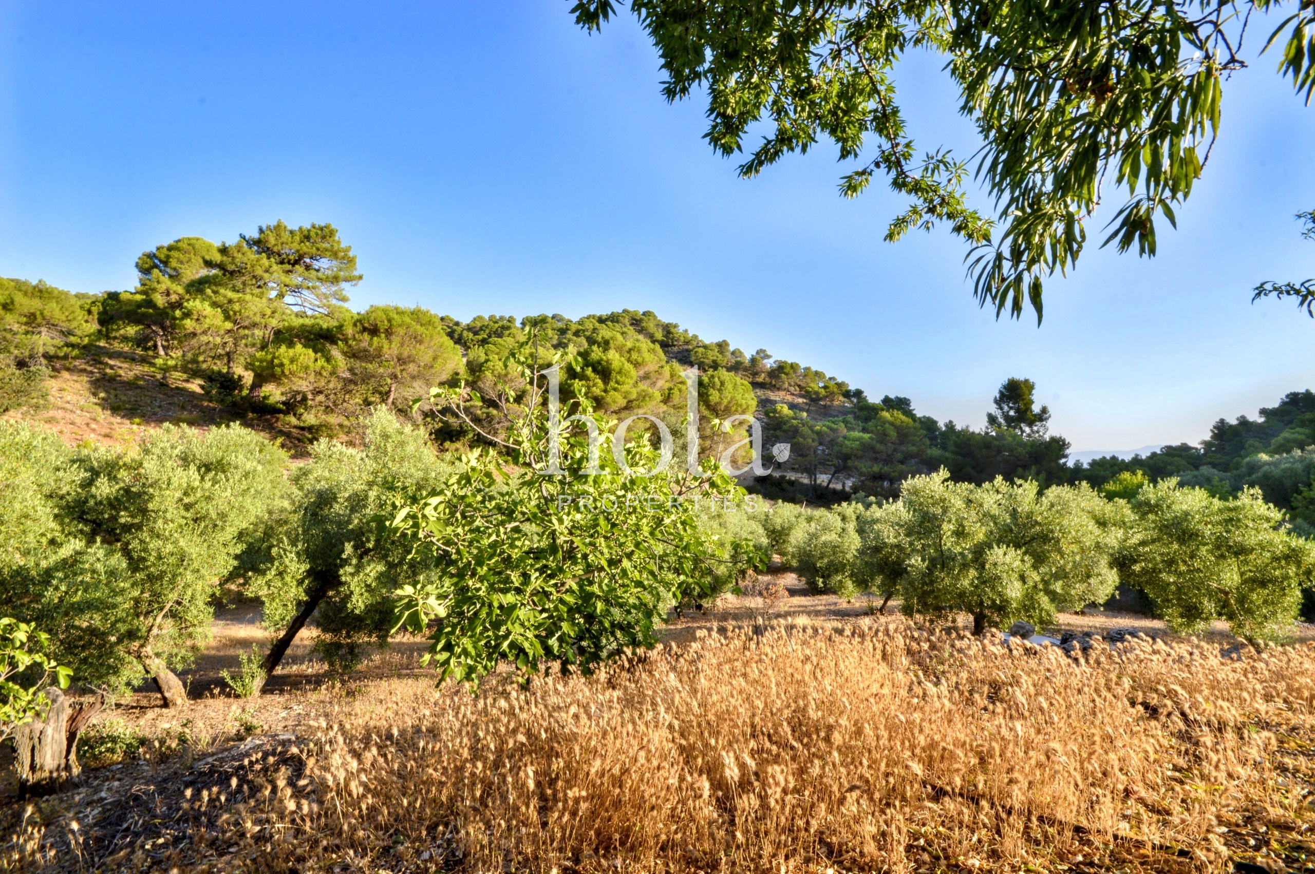 2 Bed, 1 Bath, HouseFor Sale, Albunuelas, Granada