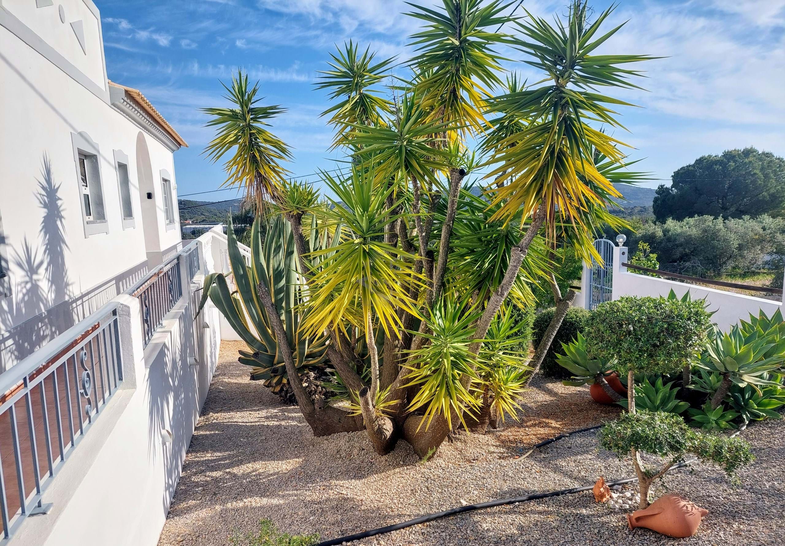 4 Bed, 3 Bath, HouseFor Sale, Sao Bras De Alportel, Faro