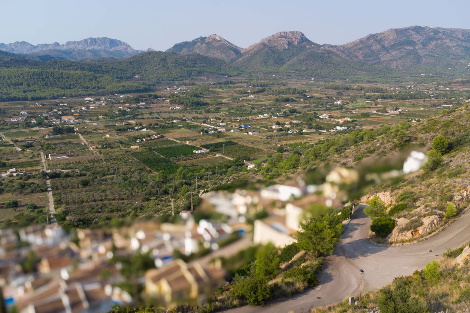 Land, For Sale Land, For Sale