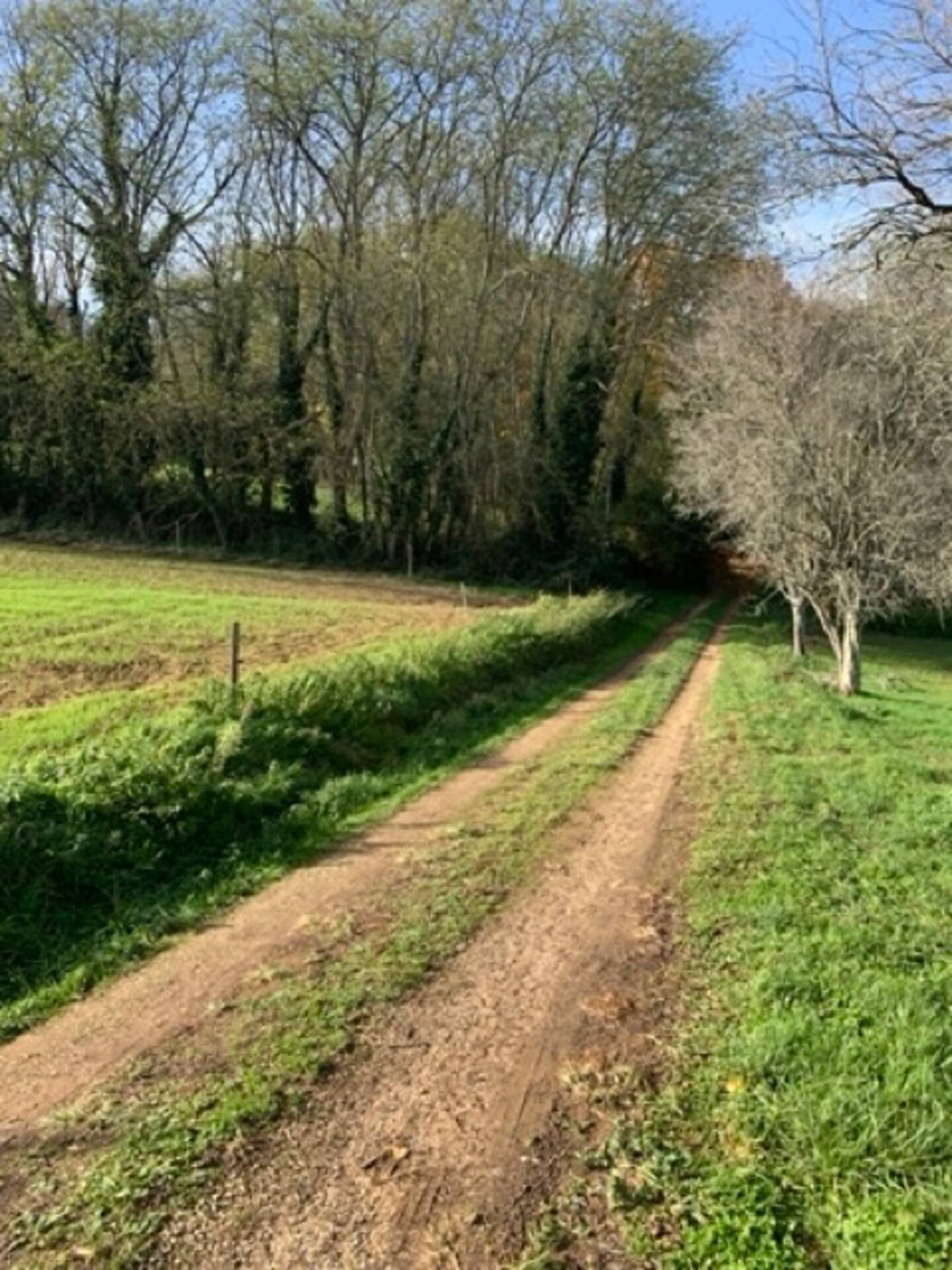 5 Bed, 1 Bath, HouseFor Sale, Saint-Marcel-Du-Perigord, Dordogne, Aquitaine, 24510