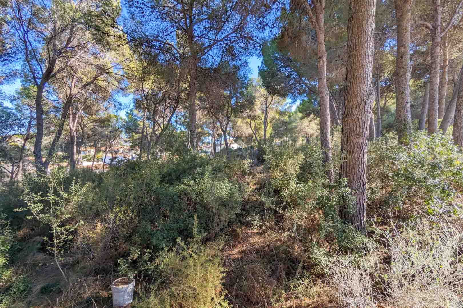 6 Bed, 8 Bath, HouseFor Sale, Moraira, Alicante 6 Bed, 8 Bath, HouseFor Sale, Moraira, Alicante