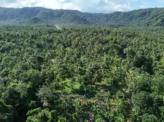 Land, For Sale Land, For Sale