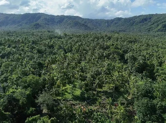 Land, For Sale Land, For Sale