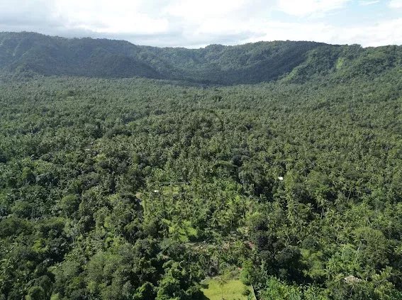 Land, For Sale Land, For Sale