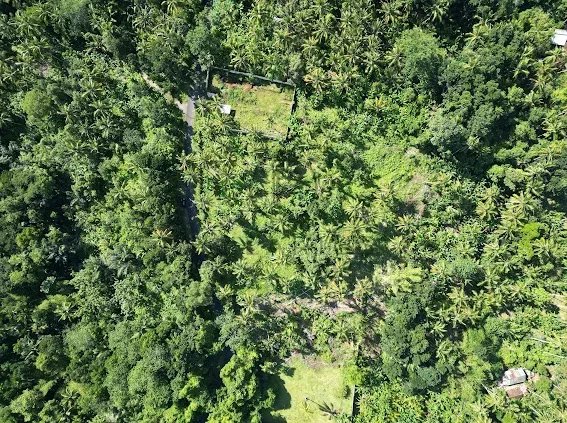 Land, For Sale Land, For Sale