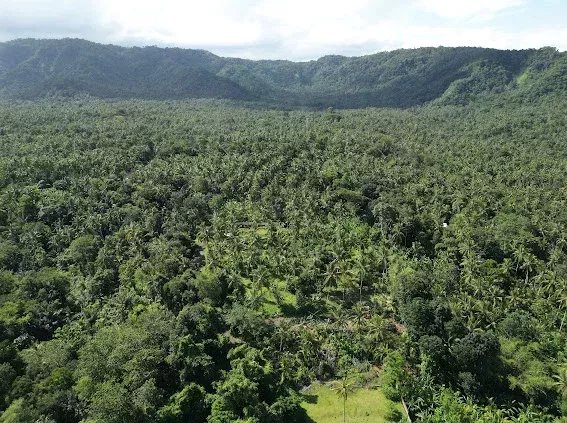 Land, For Sale Land, For Sale