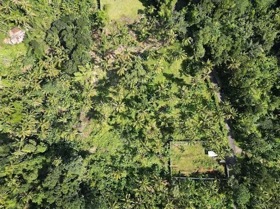 Land, For Sale Land, For Sale