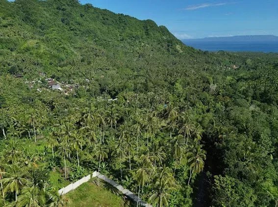 Land, For Sale Land, For Sale