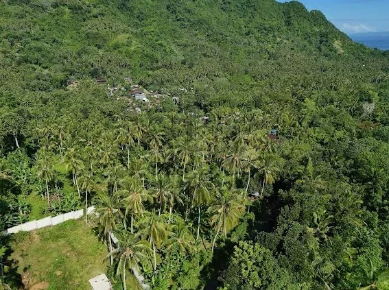 Land, For Sale Land, For Sale