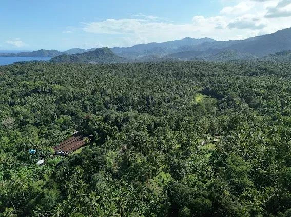 Land, For Sale Land, For Sale