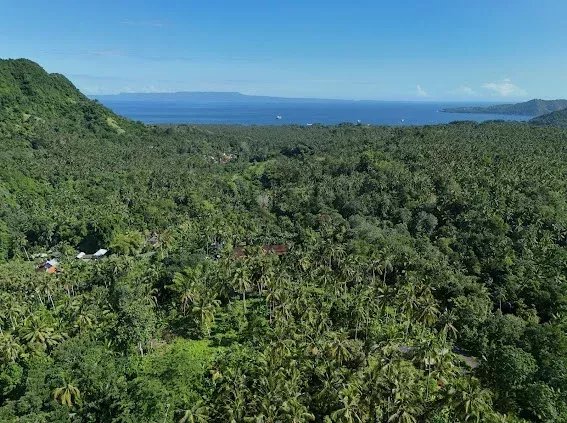 Land, For Sale Land, For Sale